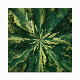 Abstract Green Leaves 2 Canvas Print