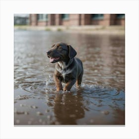 Puppy Playing In Puddle Canvas Print