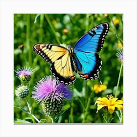 Butterfly On Thistle Canvas Print