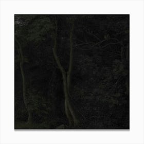 Wolf In The Woods 1 Canvas Print