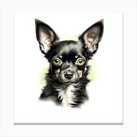 Chihuahua Canvas Print