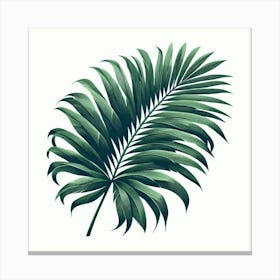 Tropical green palm leaf 1 Canvas Print