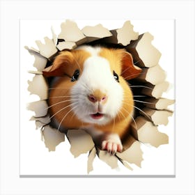 Guinea Pig 3 Canvas Print