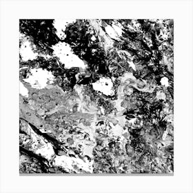 ROCKFACE Canvas Print