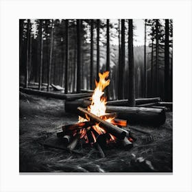 Campfire In The Woods 10 Canvas Print