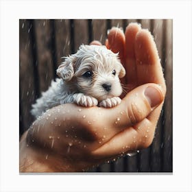 Puppy In The Rain 1 Canvas Print