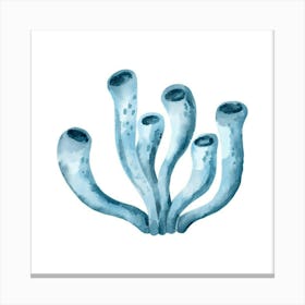 Blue Coral 2 Canvas Print