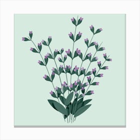 Lavender Flowers Canvas Print