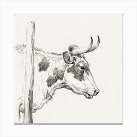Head Of A Cow, To The Right, Jean Bernard Canvas Print