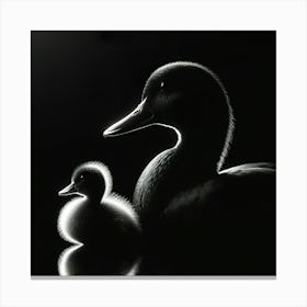 Mother Duck And Baby Duck Canvas Print