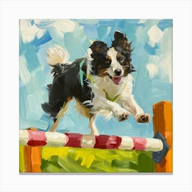 Border Collie Jumping Over Hurdle Canvas Print