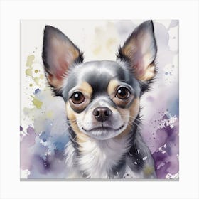 Chihuahua Canvas Print