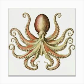 Octopus Canvas Print