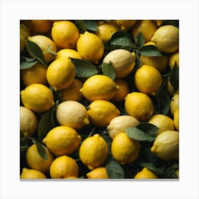 Ripe Lemons Canvas Print