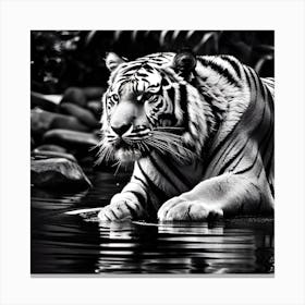 White Tiger 7 Canvas Print