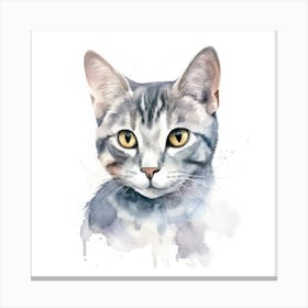 Hungarian Shorthair Cat Portrait 3 Canvas Print