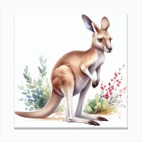 Kangaroo Canvas Print