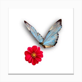 butterfly sitting on red flower design Canvas Print