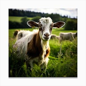 Pasture Rural Farm Goat Nature Farming Natural Countryside Animal Herd Agriculture Meadow (5) Canvas Print