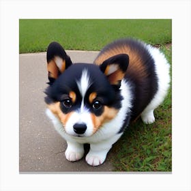 Pembrokeshire Corgi Canvas Print