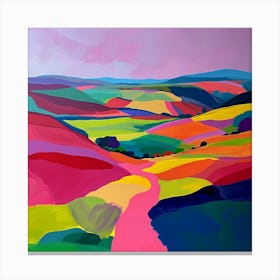 Colourful Abstract Dartmoor National Park England 1 Canvas Print