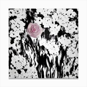 Rose In Black And White Canvas Print