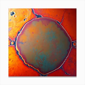 Oil Slick Canvas Print