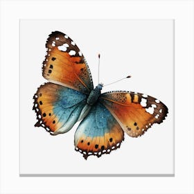 Butterfly On Black Background 1 Canvas Print