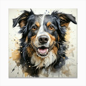 Australian Shepherd 11 Canvas Print