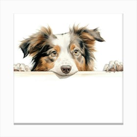 Australian Shepherd Canvas Print