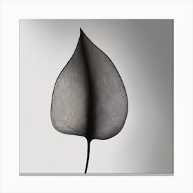 A Minimal Plant Leaf Black 6 Canvas Print