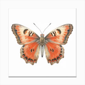 Butterfly 20 Canvas Print