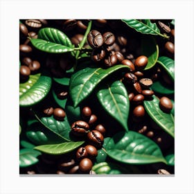 Coffee Beans And Leaves 5 Canvas Print