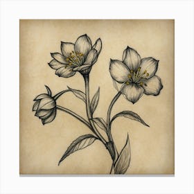 Flower Drawing Canvas Print