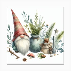 Gnome 5 Canvas Print