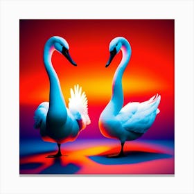 Two Swans Canvas Print