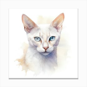 Colorpoint Shorthair Cat Portrait Canvas Print