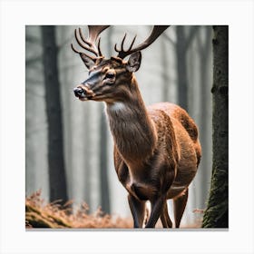 Deer In The Forest 12 Canvas Print