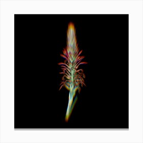 Prism Shift Pitcairnia Latifolia Botanical Illustration on Black n.0391 Canvas Print