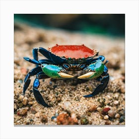 Blue Crab On Sand Canvas Print