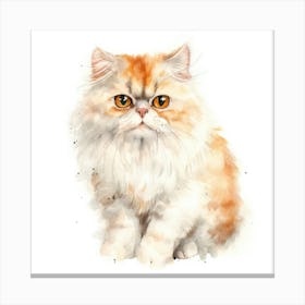 Domestic Shorthair Persian Cat Portrait Canvas Print