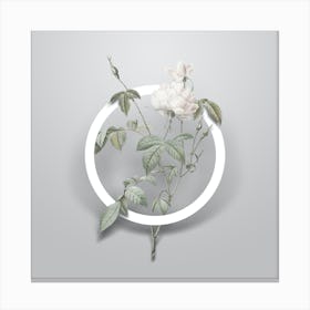 Vintage White Bengal Rose Minimalist Flower Geometric Circle on Soft Gray n.0049 Canvas Print