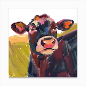 Angus Cow 03 Canvas Print
