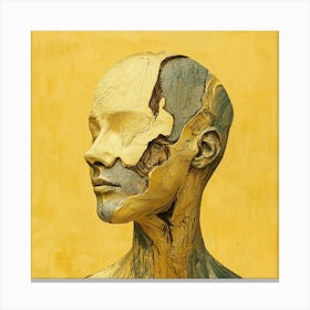 'The Face' 6 Canvas Print