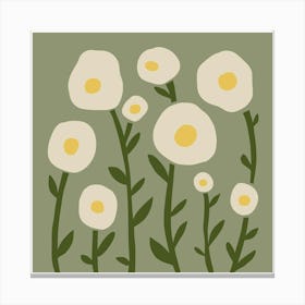 White Daisies Canvas Print