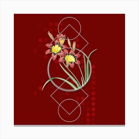 Vintage Ixia Tricolore Botanical with Geometric Line Motif and Dot Pattern n.0289 Canvas Print