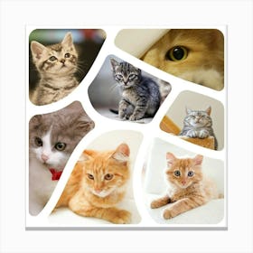 Collage Of Cats Canvas Print