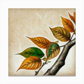 Autumn Leaves 4 Canvas Print