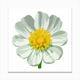 White Flower 1 Canvas Print