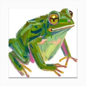 Green Tree Frog 08 Canvas Print